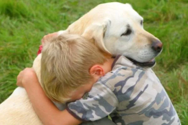 El amor hacia las mascotas: amar a las mascotas