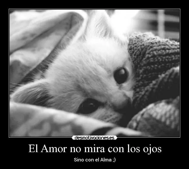 El Amor no mira con los ojos | Desmotivaciones