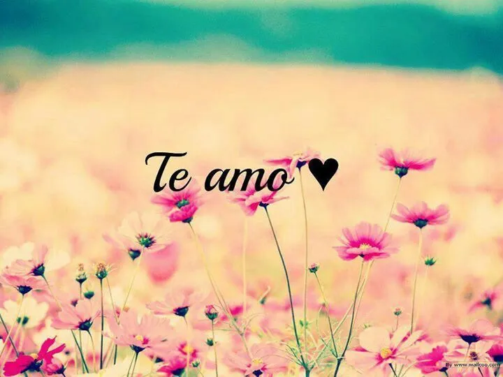 Amor❤ on Pinterest | Te Amo, Te Quiero and Frases