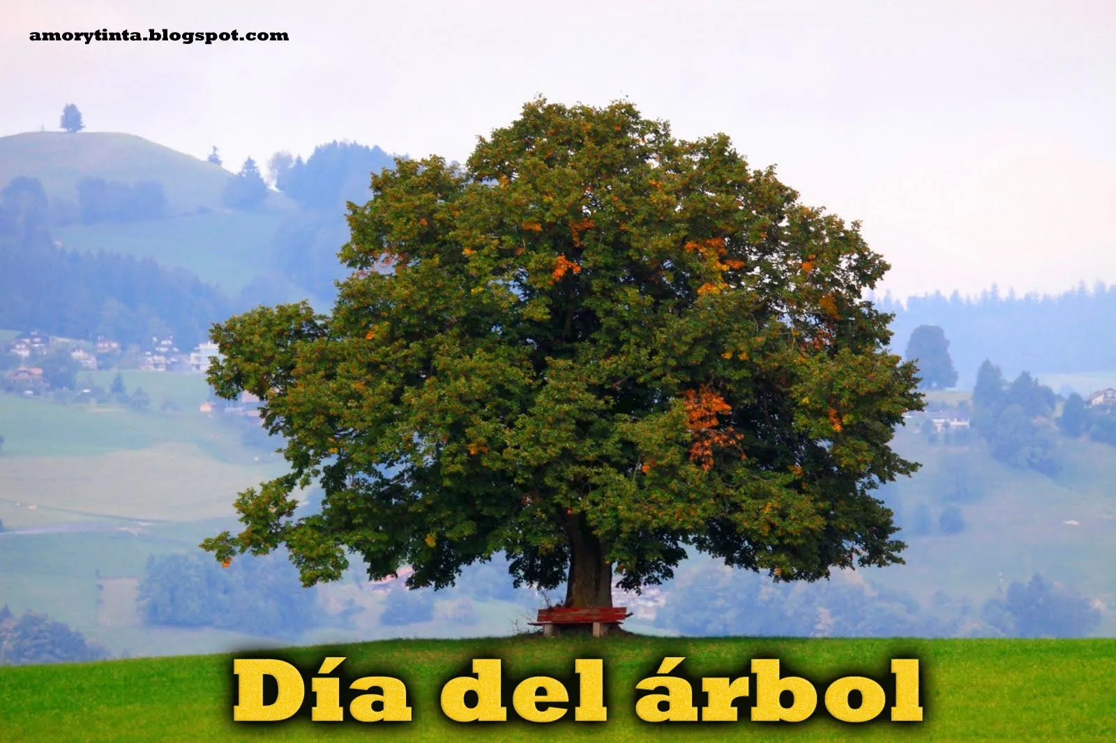 Amor y Tinta: Imagenes del día del árbol