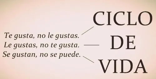 amor Tristeza vida alegria gusto felicidad desamor lindadecepcion •