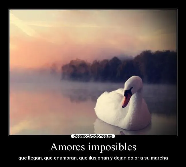 Amores imposibles | Desmotivaciones