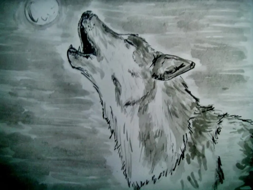 Amores, lobos y otros dibujos