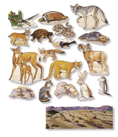 Ampliamos nuestro Inglés: Desert Animals