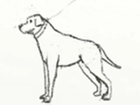 AMY AMY - Como dibujar un perro Chihuahua paso a paso - Dibujos de ...