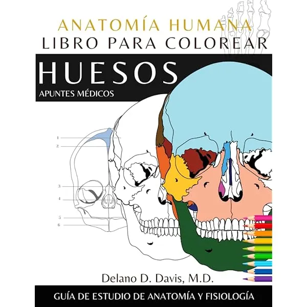 Anatomía Humana: Libro para Colorear: Huesos Ilustraciones Detalladas:  Atlas de Anatomía y Fisiología del Sistema Esquelético (Spanish Edition):  Davis M.D., Delano D., Plus, Medical Essentials: 9798374325539: Amazon.com:  Books