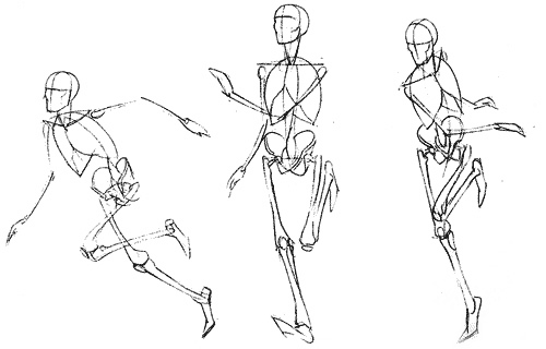 ANATOMIA DEL MOVIMIENTO | anatomia del movimiento