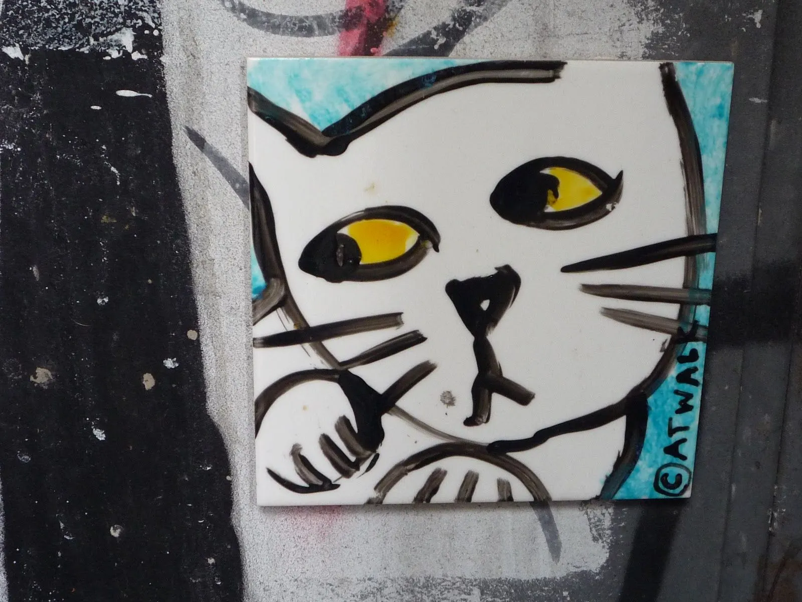 ANDO BARCELONEANDO: GATOS CALLEJEROS EN EL RAVAL