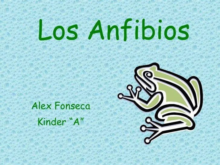 Los Anfibios