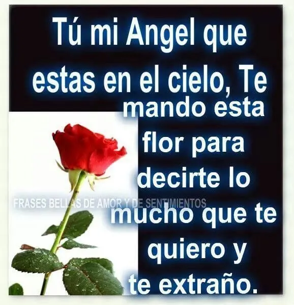 Mi angel del cielo | Mi luto, tu ausencia, mi dolor, Te amo mami ...