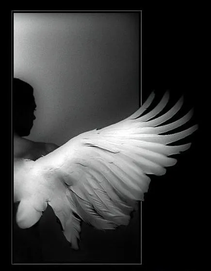 El ángel que quiso ser hombre | Mi pluma, tu pluma