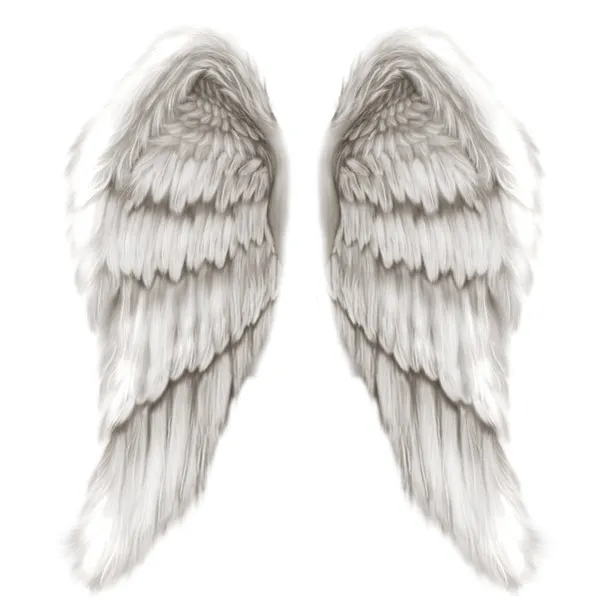 Angel Wings image - vector clip art online, royalty free & public ...