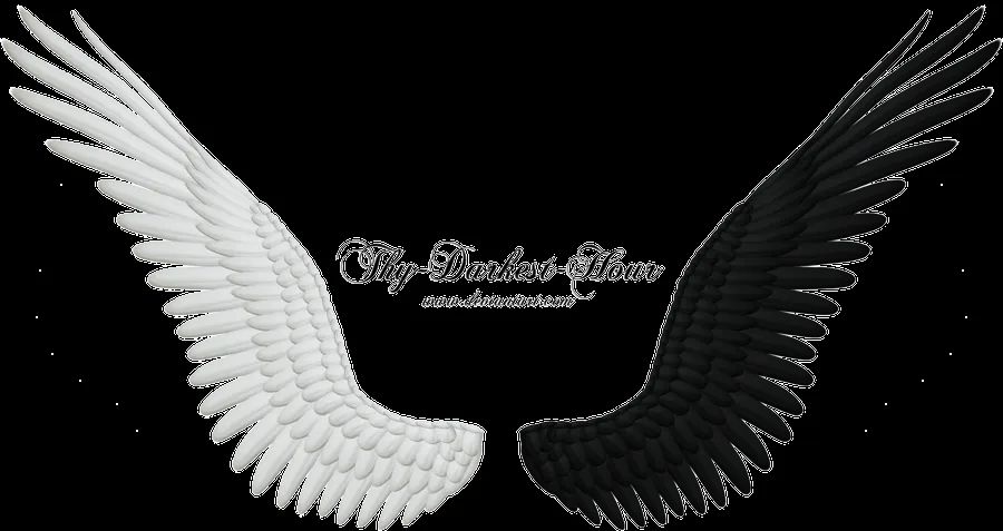 Angel Wings PNG 06 by Thy-Darkest-Hour on deviantART