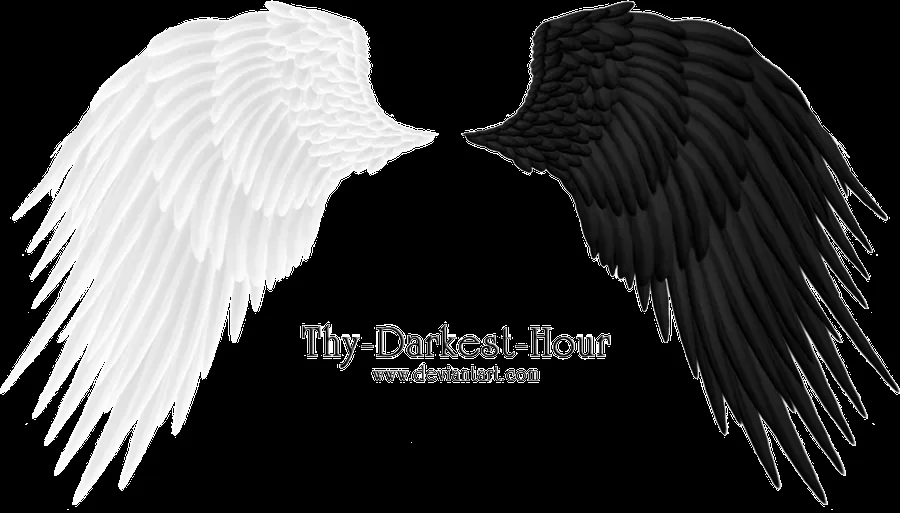Angel Wings 08 PNG by Thy-Darkest-Hour on deviantART