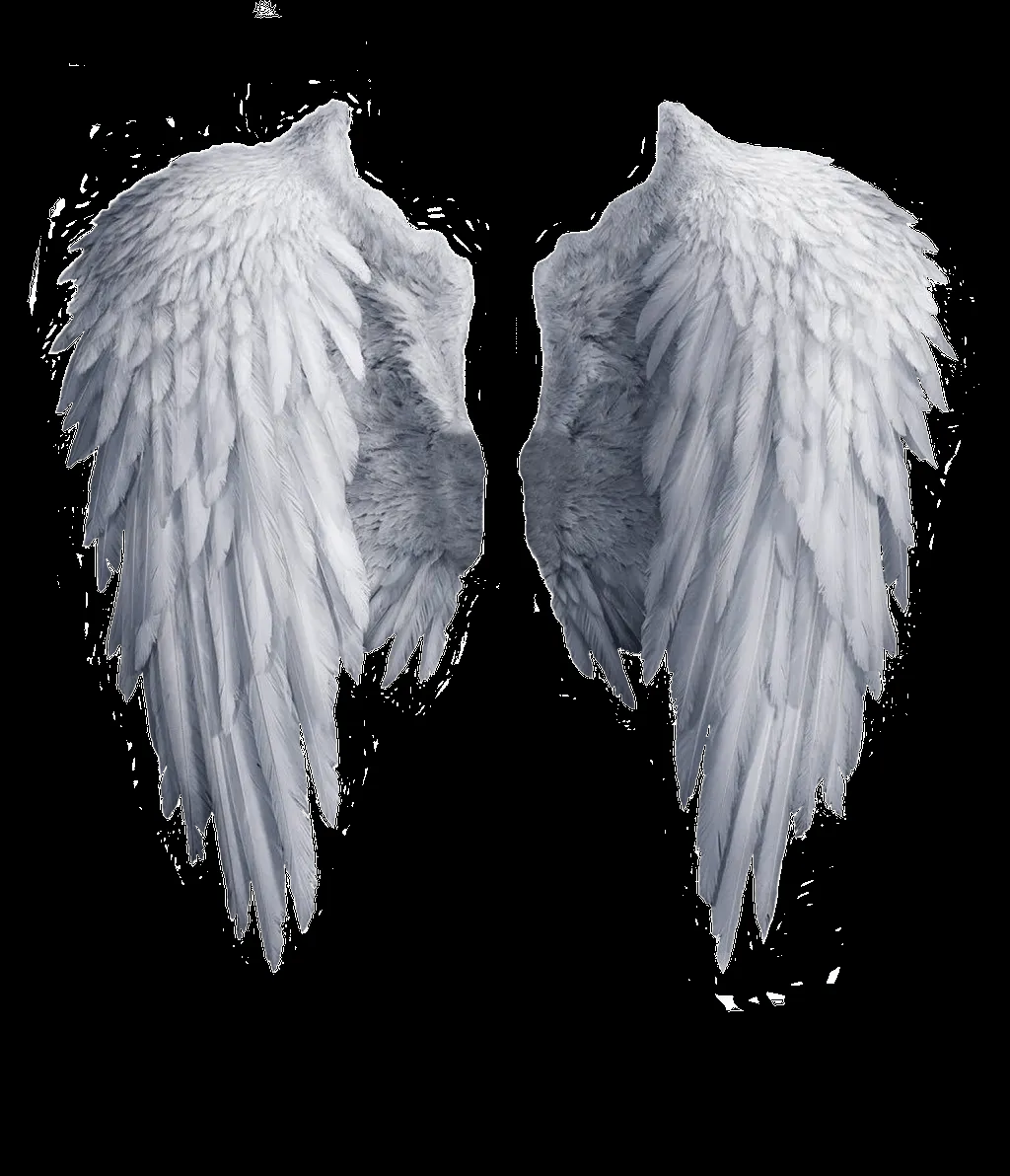 Angel wings stock PNG by Shadow-of-Nemo on DeviantArt