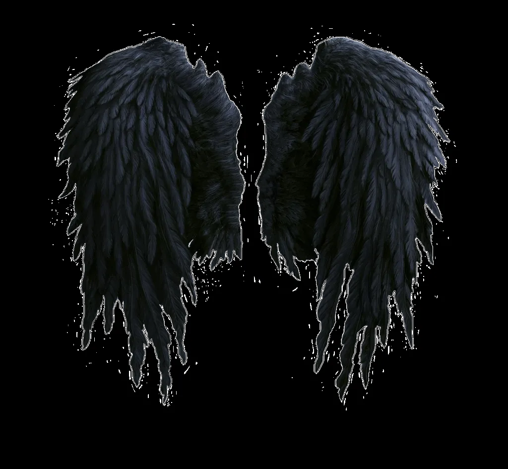 Angel wings stock PNG by Shadow-of-Nemo on DeviantArt