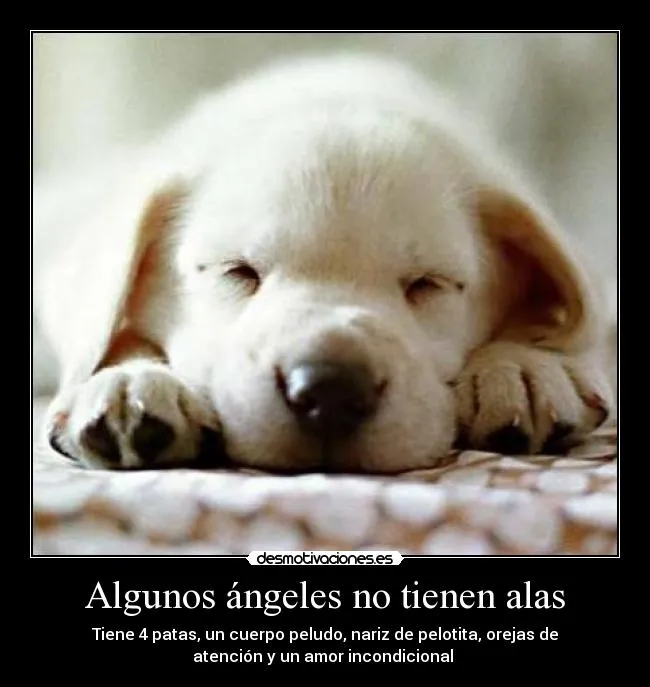 Algunos ángeles no tienen alas | Desmotivaciones