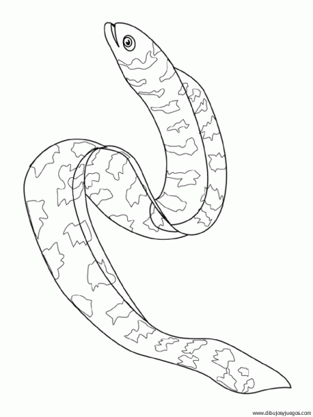 anguila | Dibujos y juegos, para pintar y colorear