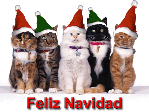 Gifs animados de Animales de navidad, animaciones de Animales de ...