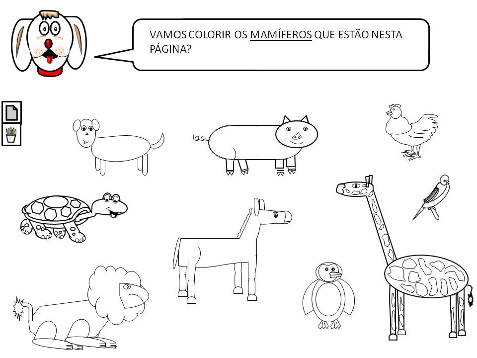 ANIMAIS MAMÍFEROS - ATIVIDADES EXERCÍCIOS DESENHOS COLORIR ...