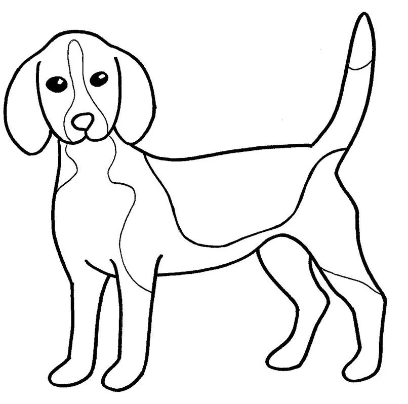 Animais para pintar Desenho de cachorro para colorir. Desenho ...