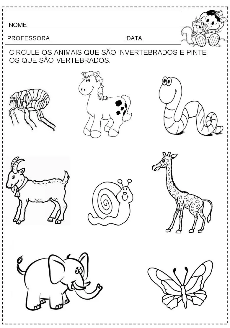 ANIMAIS VERTEBRADOS E INVERTEBRADOS - ATIVIDADES E DESENHOS ...