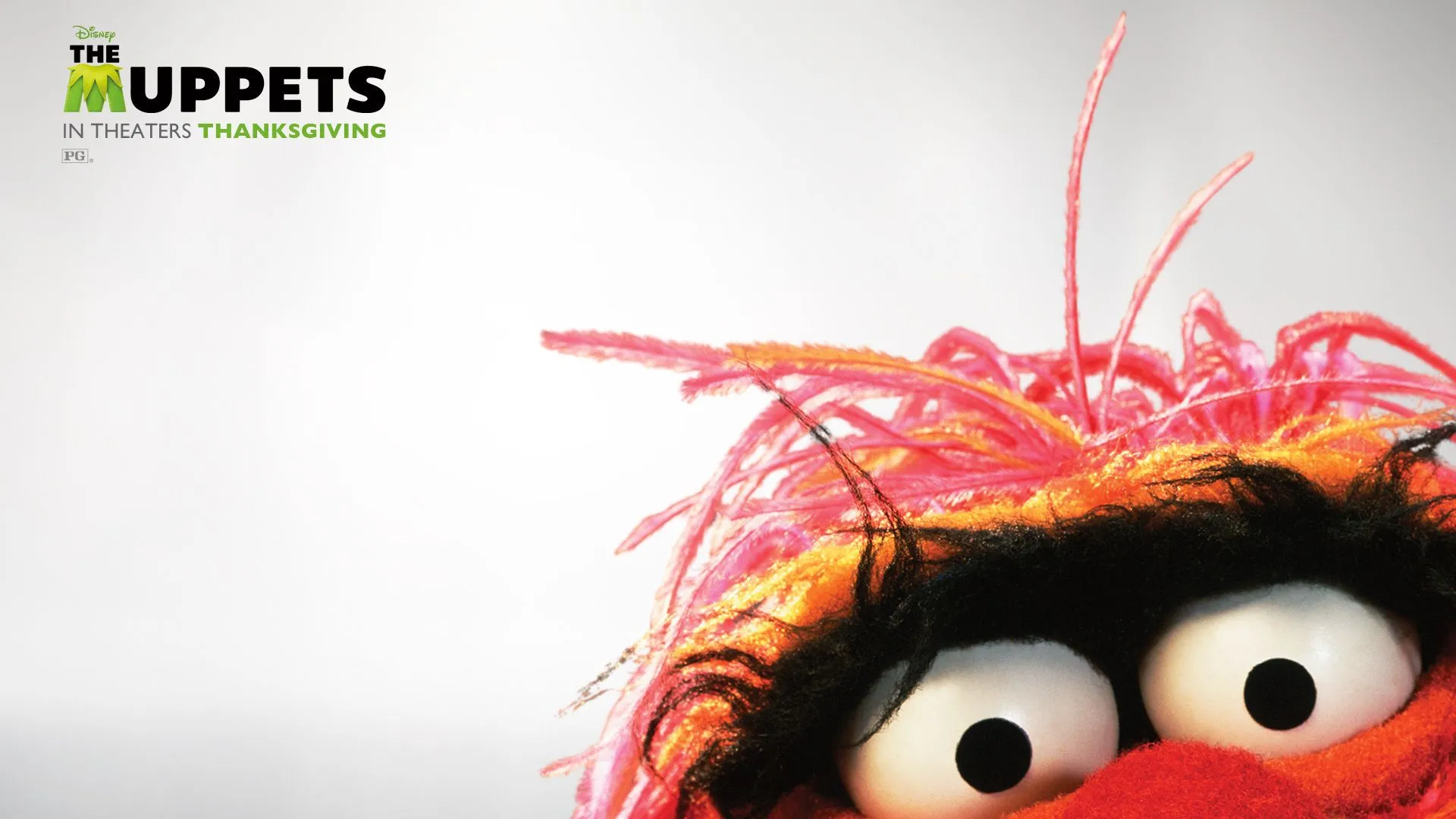 5 The Muppets Wallpapers | The Muppets Backgrounds