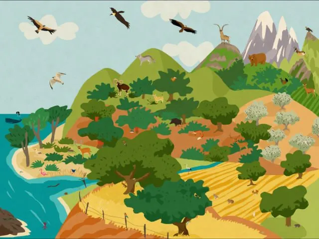 Animal Habitats es una aplicación para iPad que permite a los ...