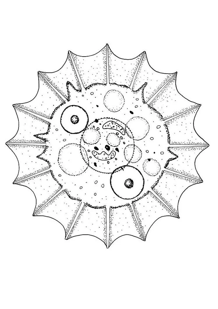 ANIMAL mandalas : 6 free online coloring books & printables for kids