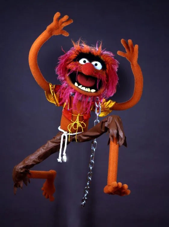 Animal - Muppet Wiki