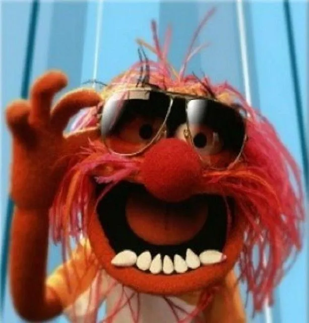 The Muppets Baby - Animal | Flickr - Photo Sharing!
