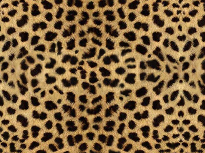 Animal Print Backgrounds