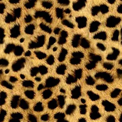 Animal Print Backgrounds and Background CSS Codes