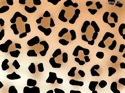 Animal Print Wallpapers - Download Free Wallpapers - Zimbio