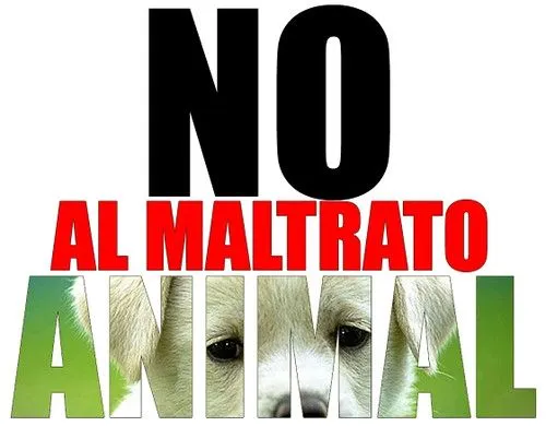 ANIMALADAS /CUIDADOS: Di NO al maltrato animal