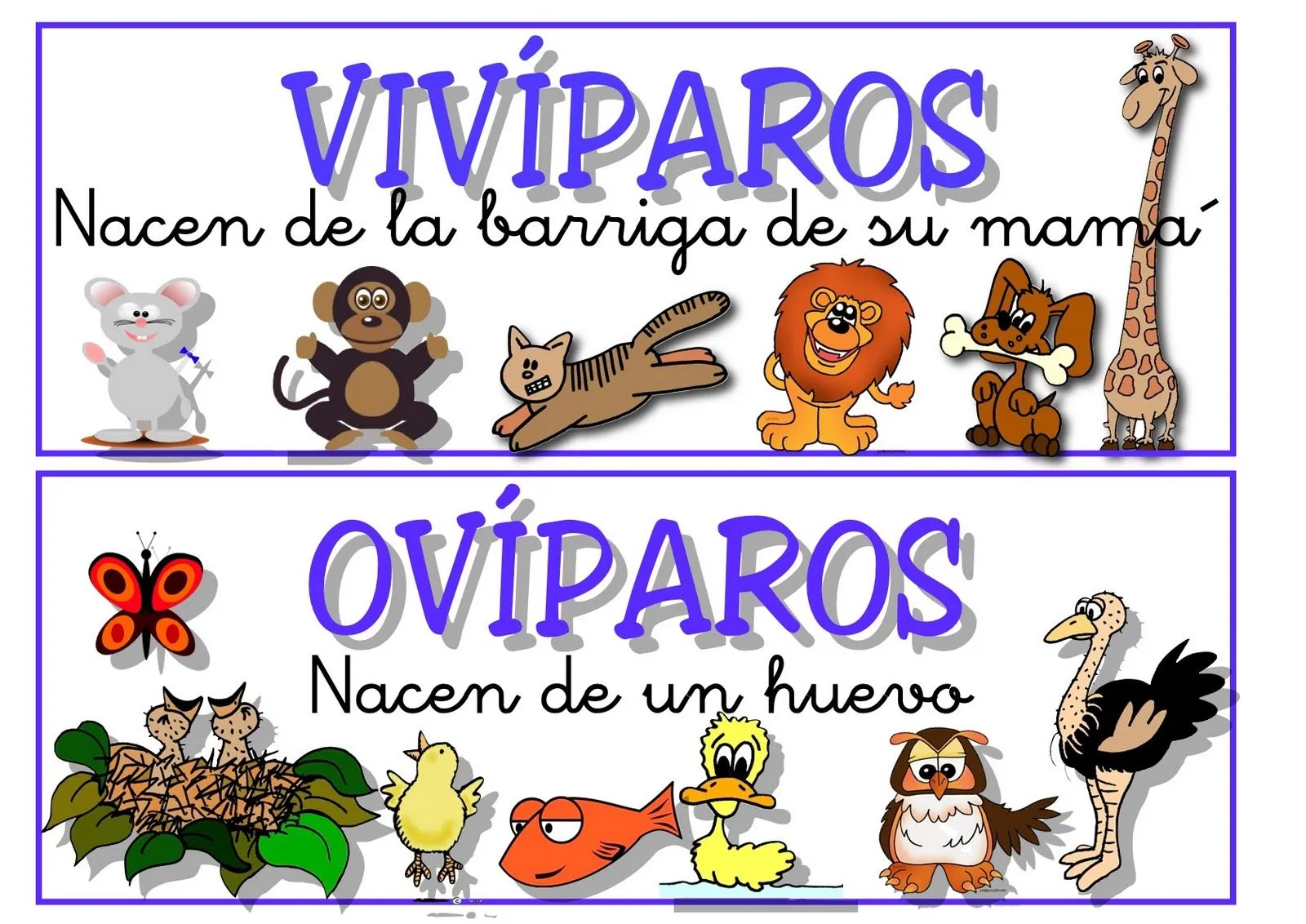 ANIMALES | Somos 2º A y B