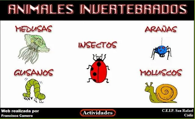 LOS ANIMALES