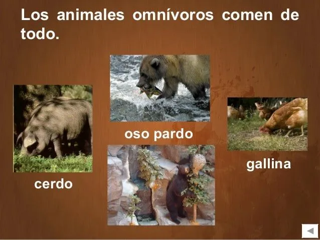 LOS ANIMALES