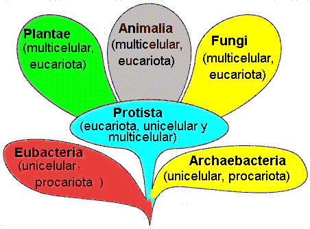 Animales