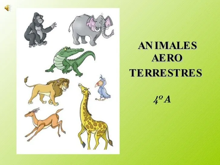 Cuales son los animales aeroterrestres - Imagui