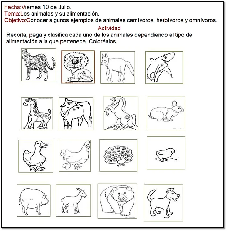 Los animales y su alimentación. | Enseñanza de las letras, Actividades,  Omnivoros