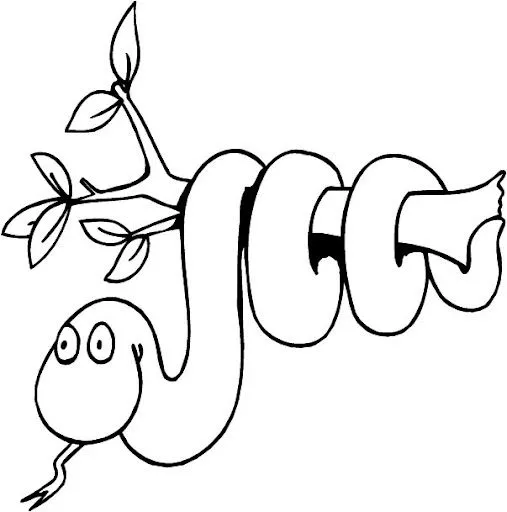 Animales anfibios para dibujar - Imagui