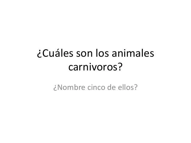 Cuáles son los animales carnivoros