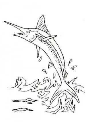 Dibujos para Colorear pintar e imprimir