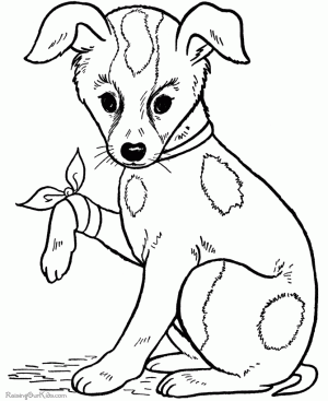 Animales para colorear