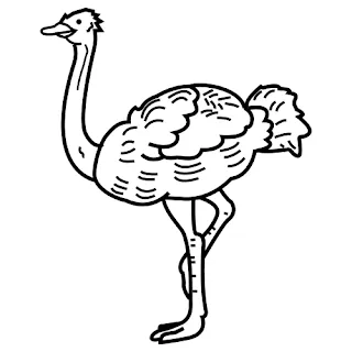 Animales para colorear: Avestruz