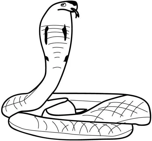 Animales para colorear: Cobras