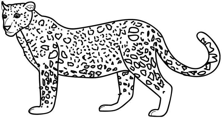 Animales para colorear: Leopardos