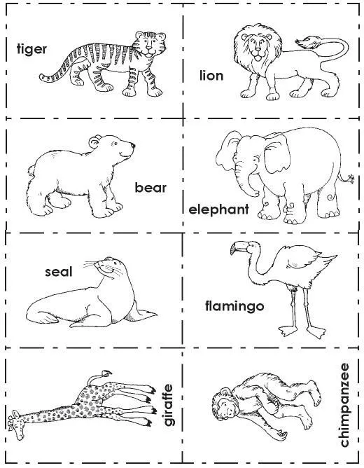 Animales para colorear con su nombre en ingles - Imagui