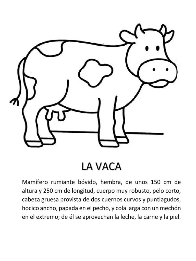 Animales para Colorear | PDF | Mamíferos | Pollo